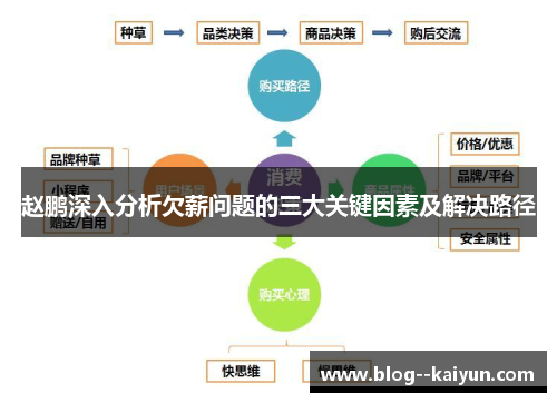 赵鹏深入分析欠薪问题的三大关键因素及解决路径